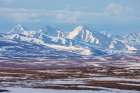 Springtime on the arctic tundra landscape of the Seward Peninsula Art Print